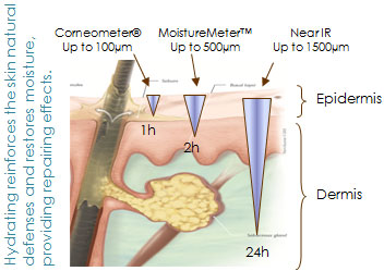 5step_11