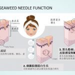 Seaweed Needle Treatment (Home Care) 2