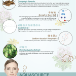 pigmentation flyer page 2-01